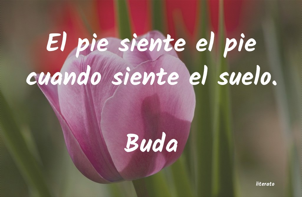 Frases de Buda