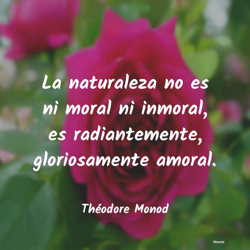 frases de Théodore Monod