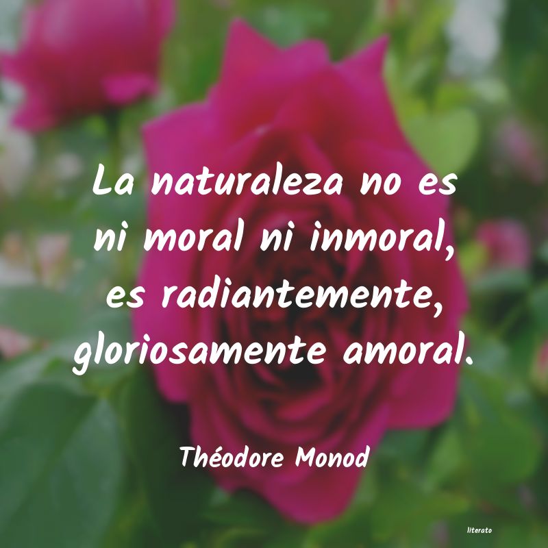 Frases de Théodore Monod