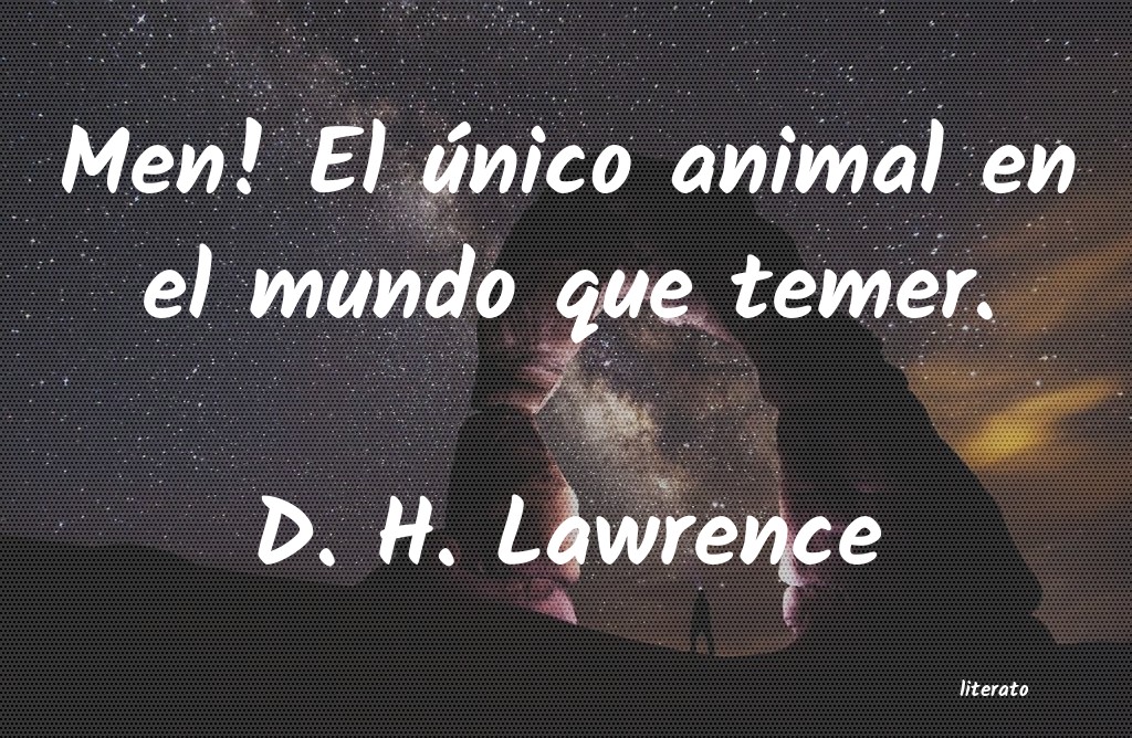 Frases de D. H. Lawrence