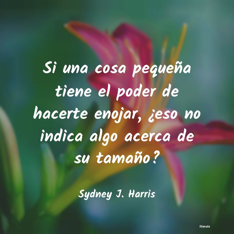 Frases de Sydney J. Harris