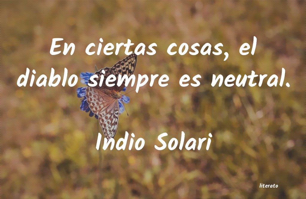 Frases de Indio Solari