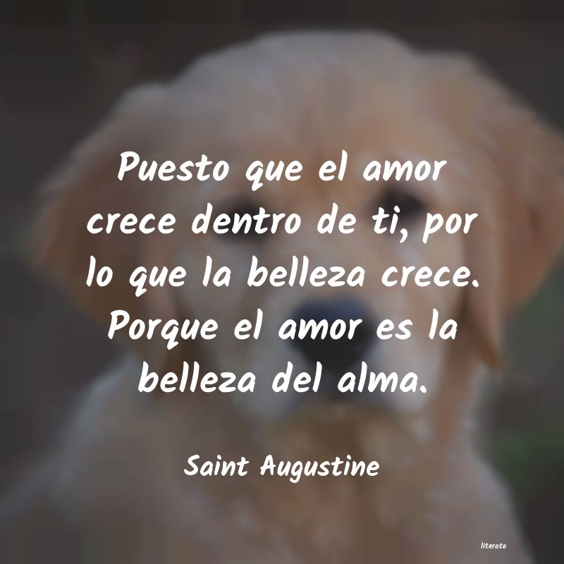 Frases de Saint Augustine