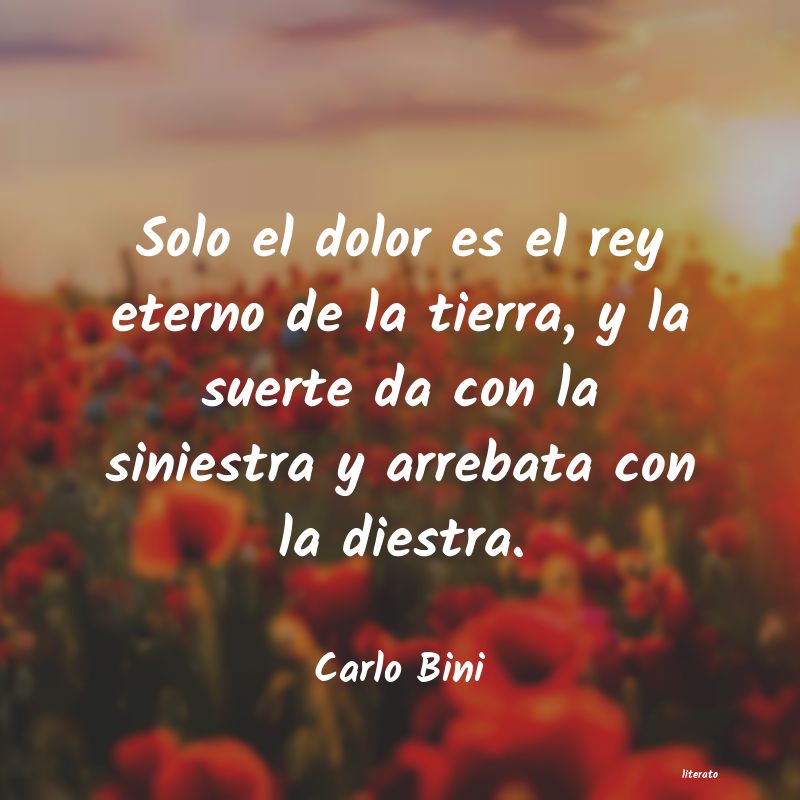 Frases de Carlo Bini