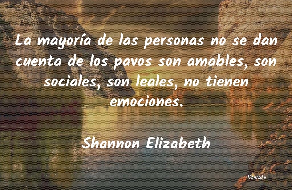 Frases de Shannon Elizabeth