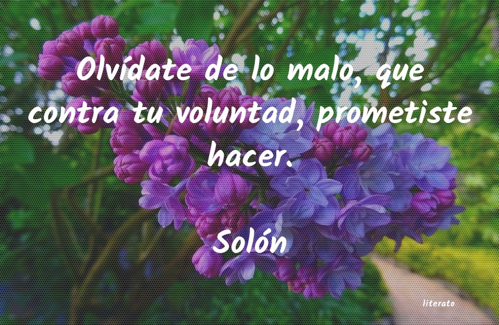 frases de Solón