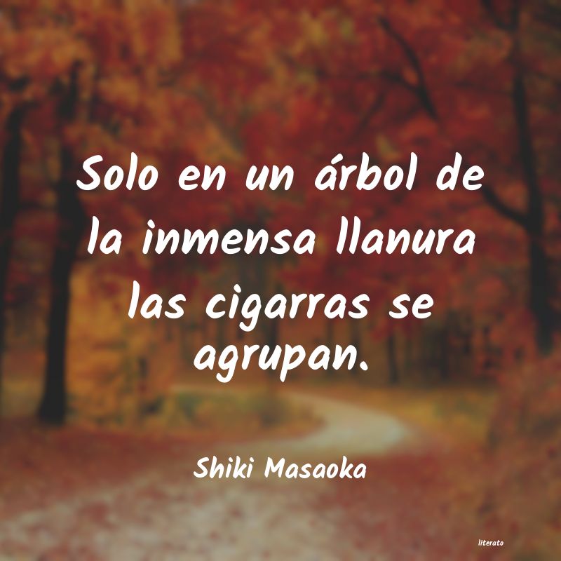 frases de Shiki Masaoka