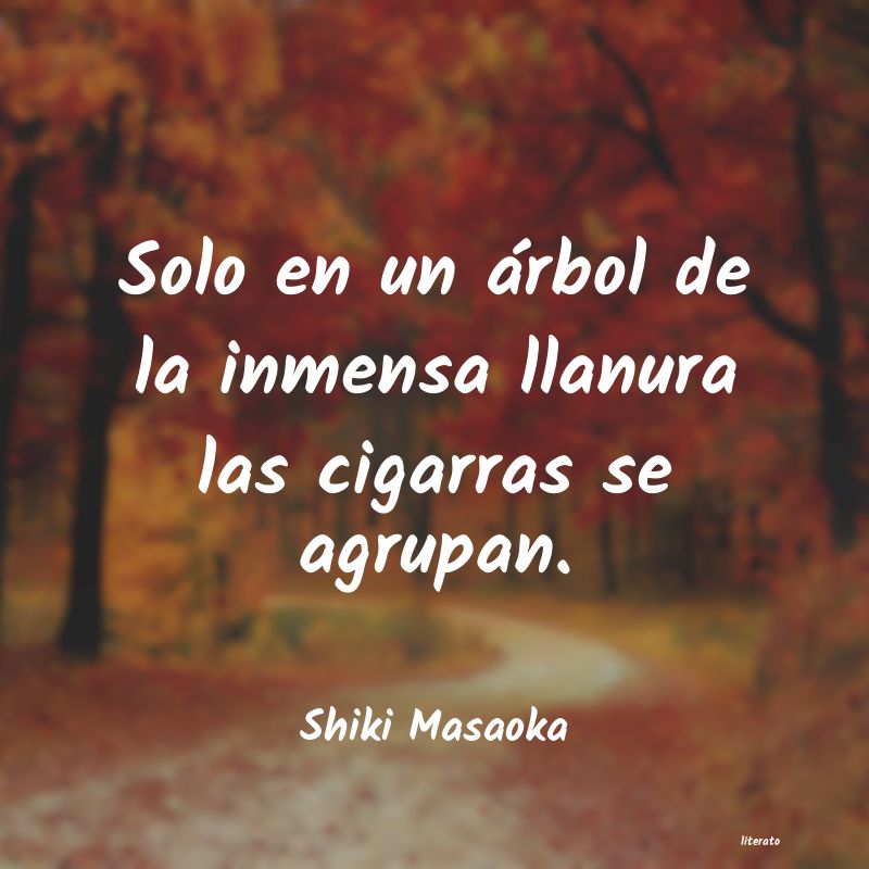 Frases de Shiki Masaoka