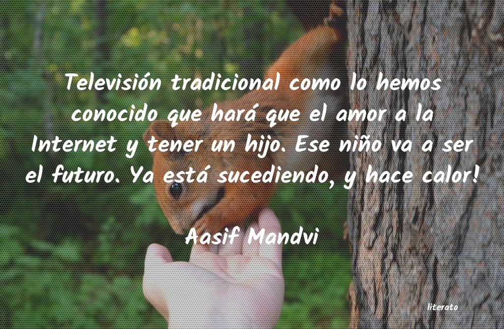 Frases de Aasif Mandvi