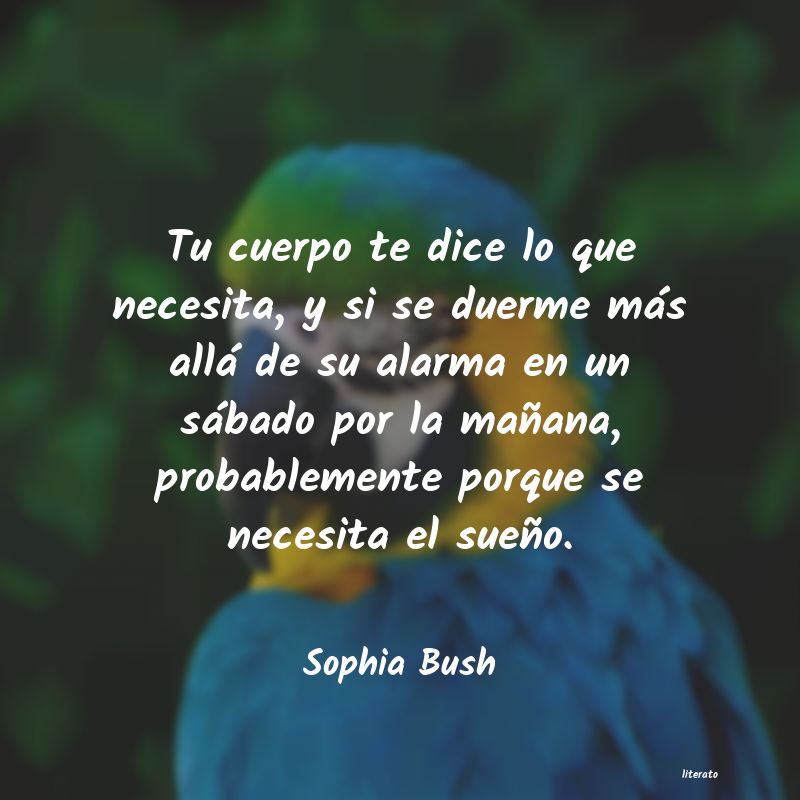 Frases de Sophia Bush