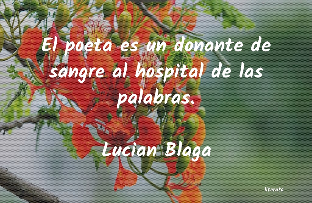 Frases de Lucian Blaga