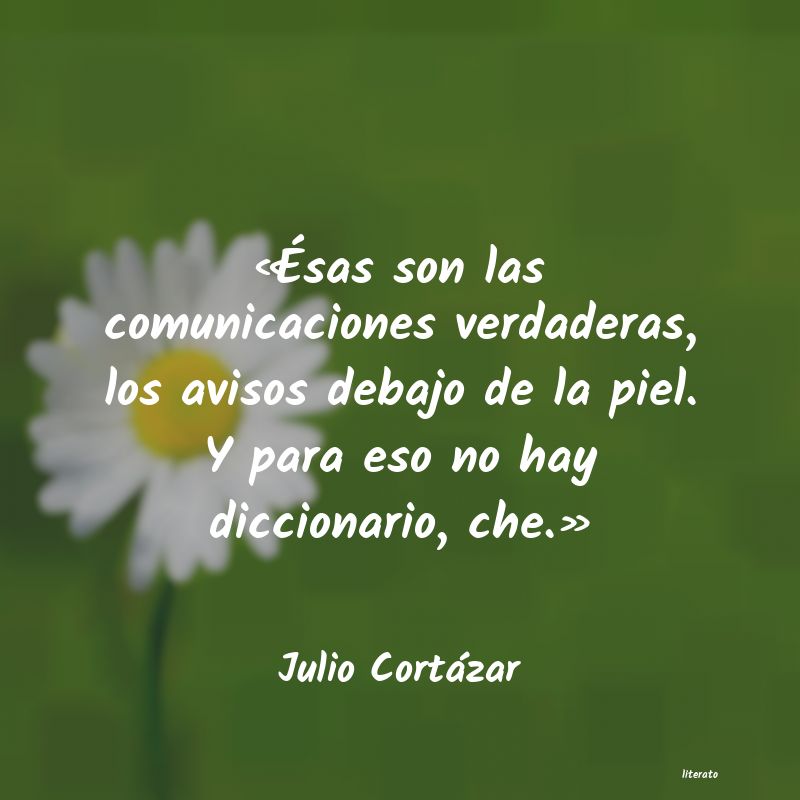 Frases de Julio Cortázar