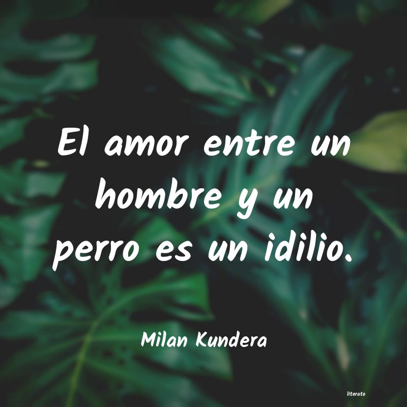 Frases de Milan Kundera