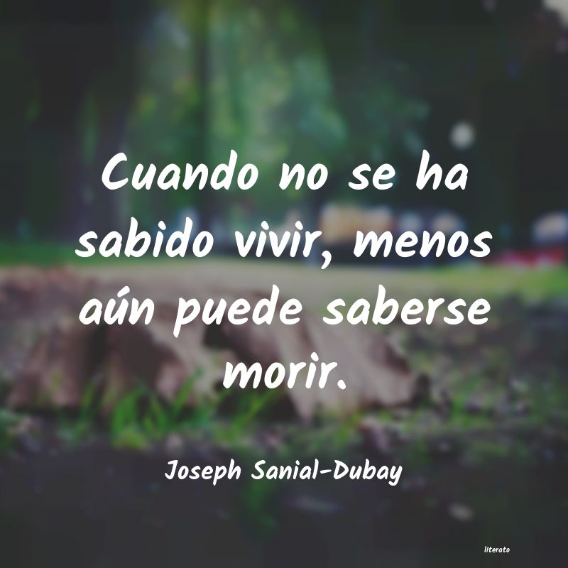 Frases de Joseph Sanial-Dubay