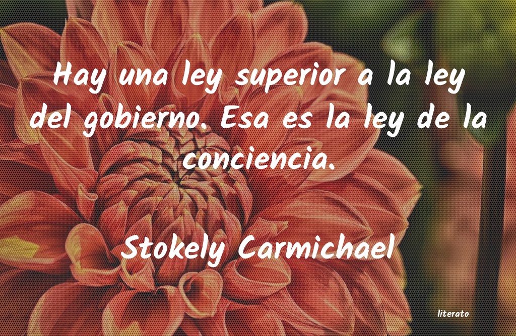 frases de Stokely Carmichael