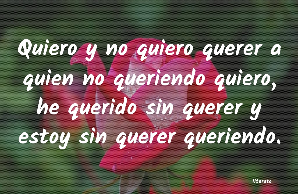 frases