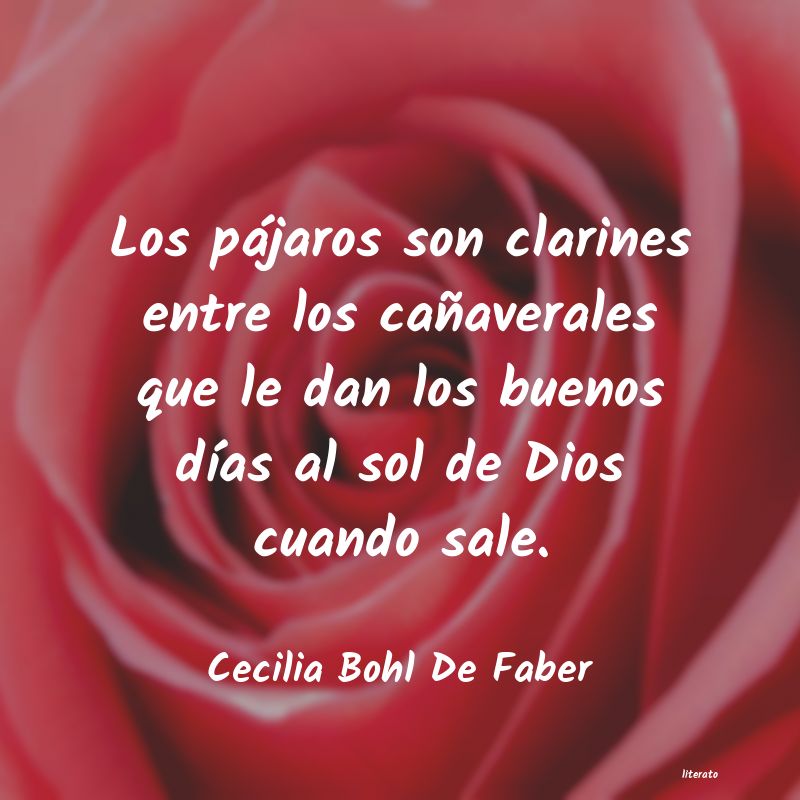 frases de Cecilia Bohl De Faber