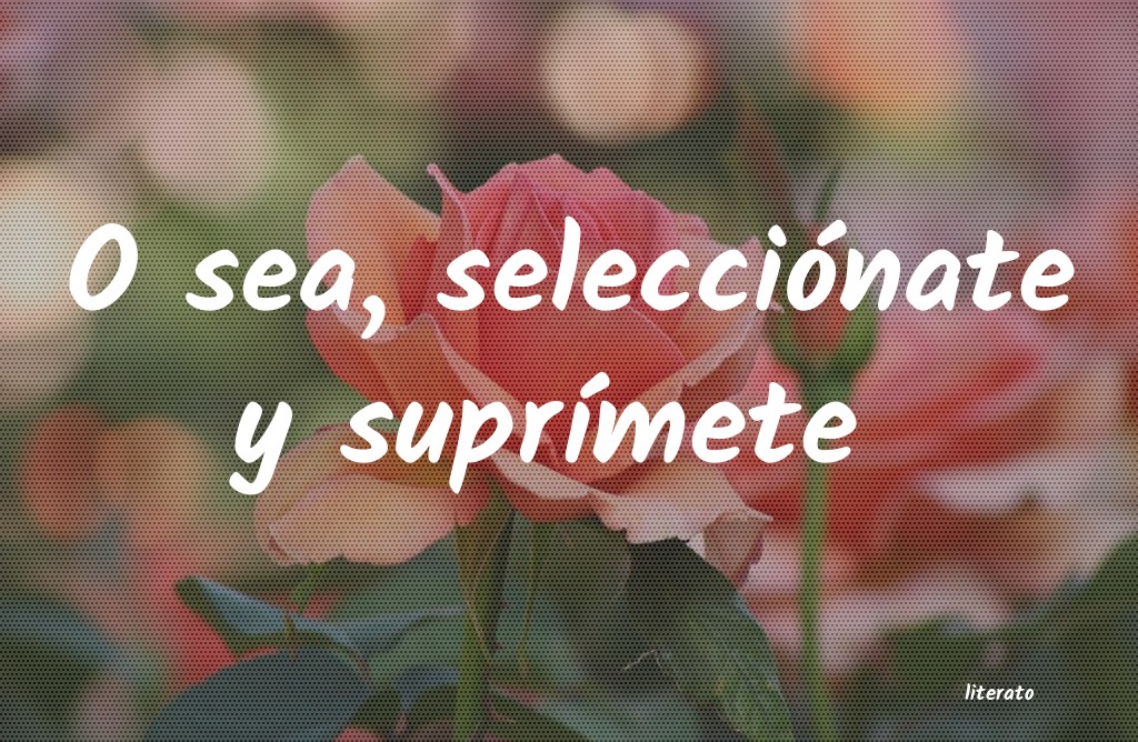 frases