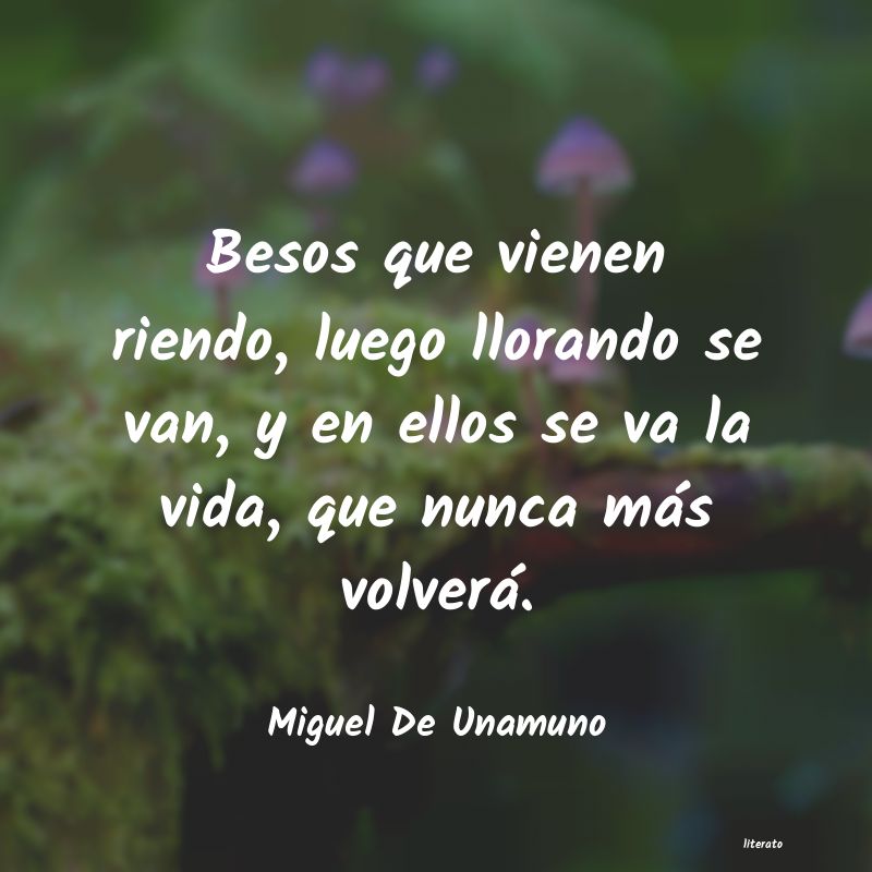 Frases de Miguel De Unamuno