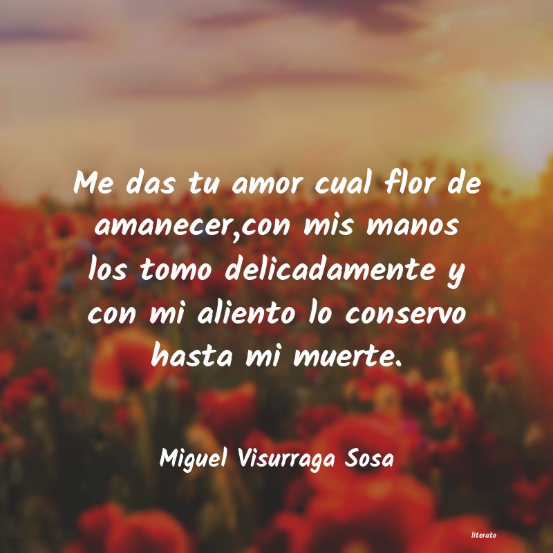 frases de Miguel Visurraga Sosa