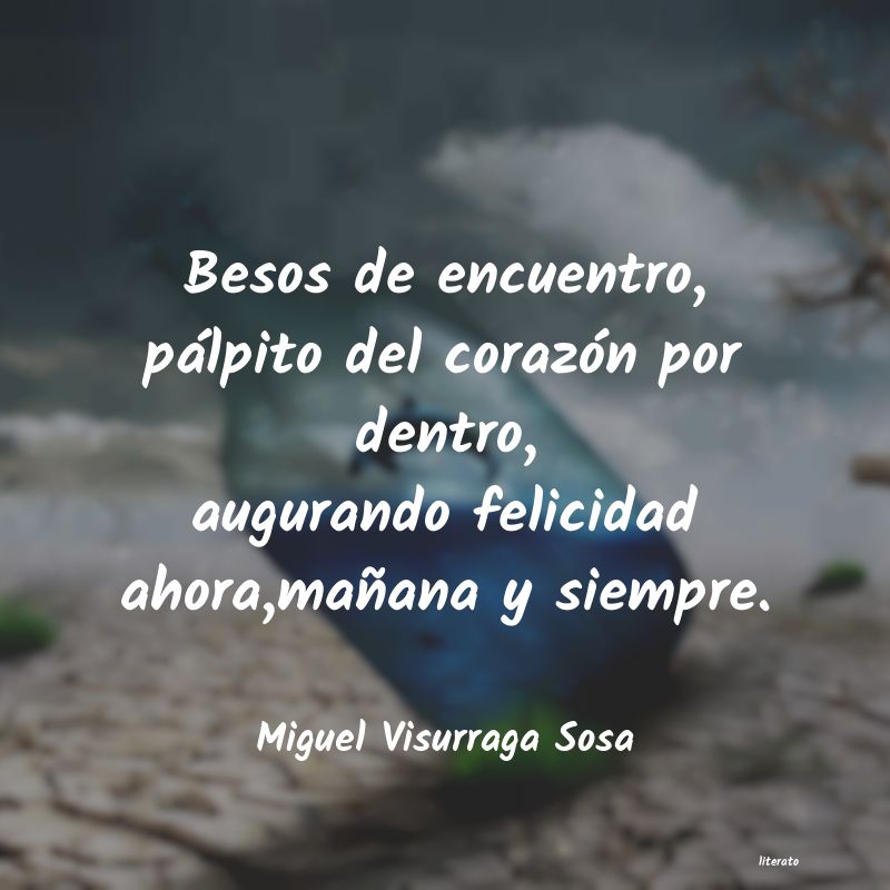 Frases de Miguel Visurraga Sosa