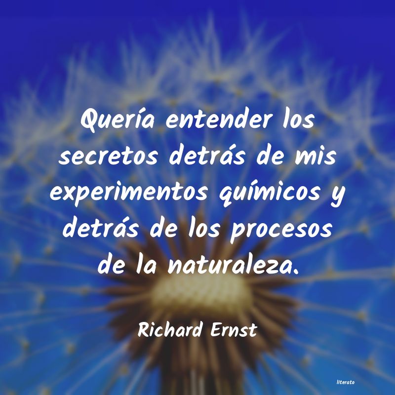 Frases de Richard Ernst