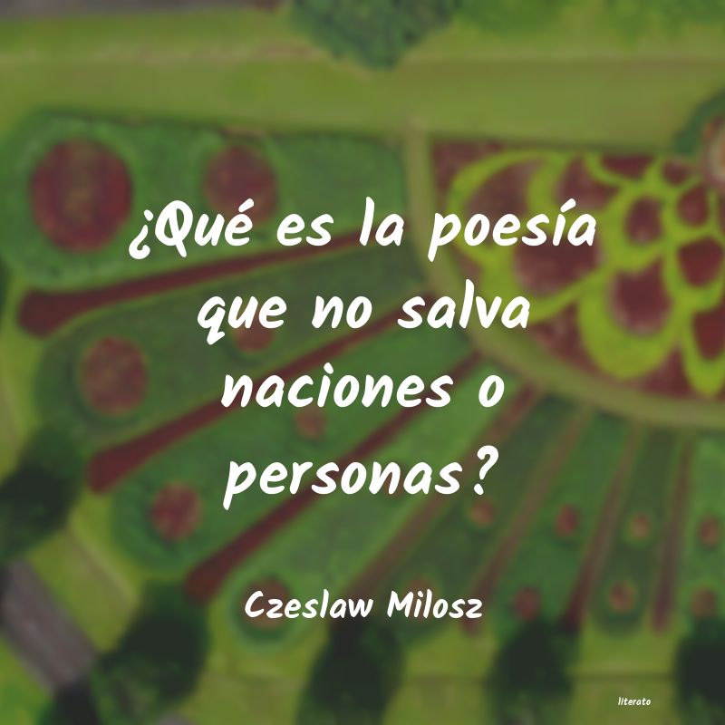 frases de Czeslaw Milosz