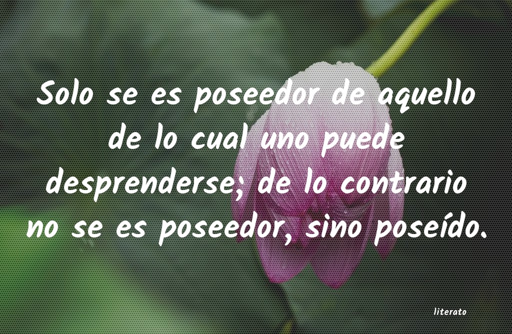 frases