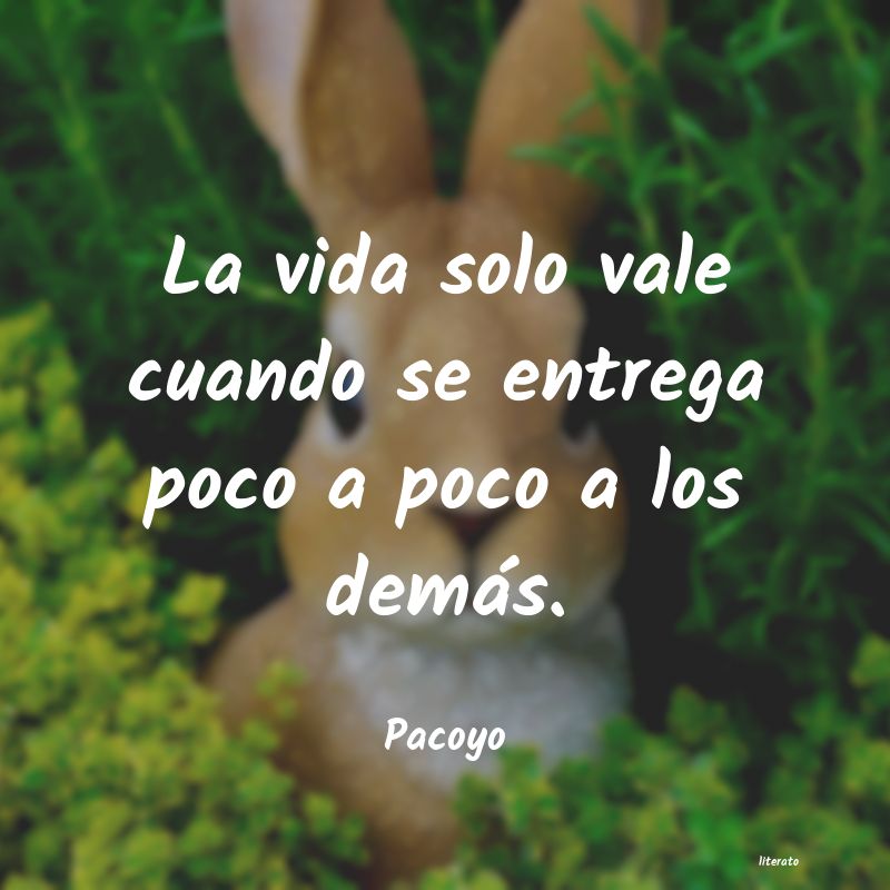 frases de Pacoyo