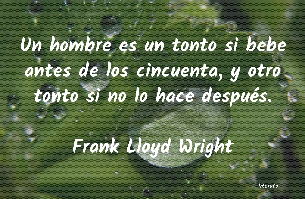 Frases de Frank Lloyd Wright