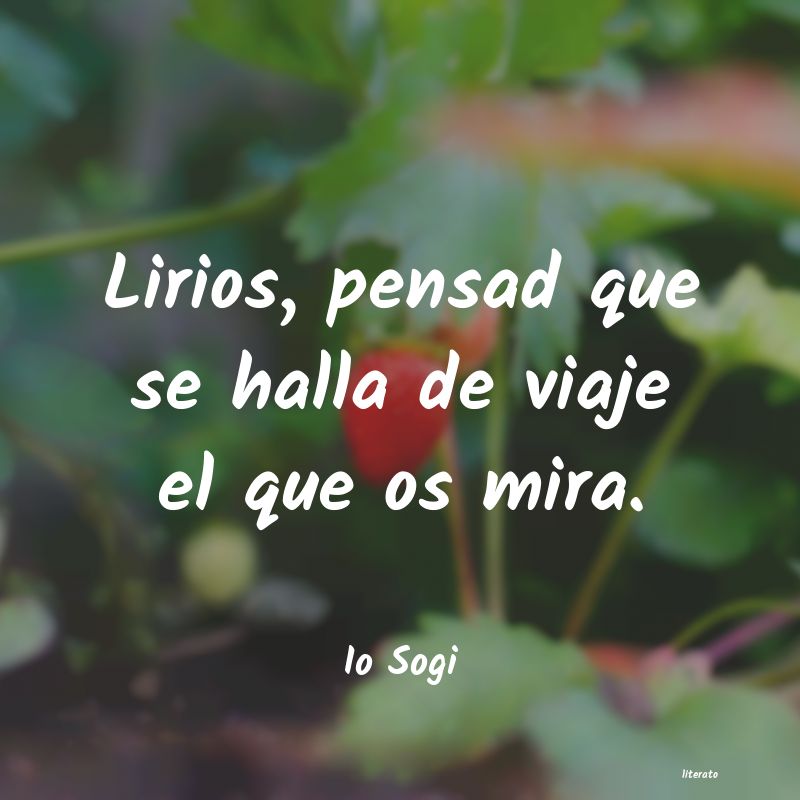 frases de Io Sogi