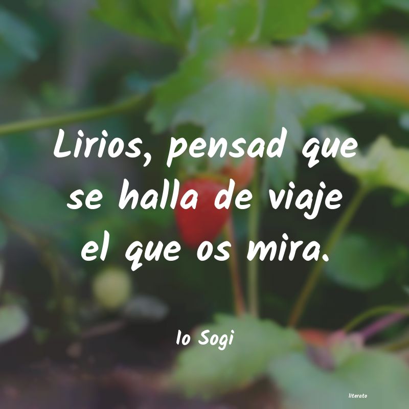 Frases de Io Sogi