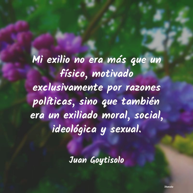 frases de Juan Goytisolo