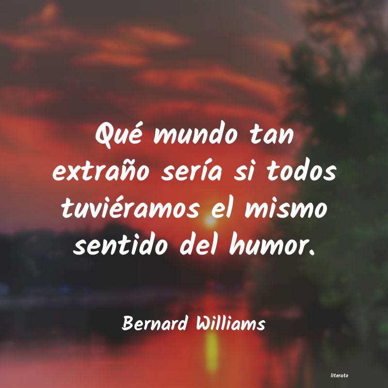 Frases de Bernard Williams