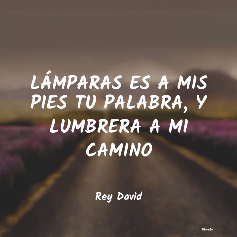 frases de Rey David