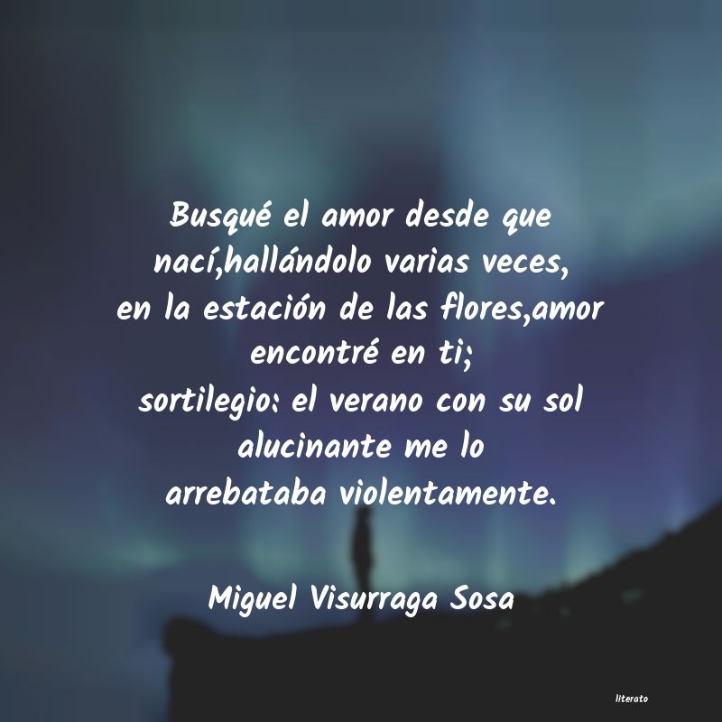 frases de Miguel Visurraga Sosa