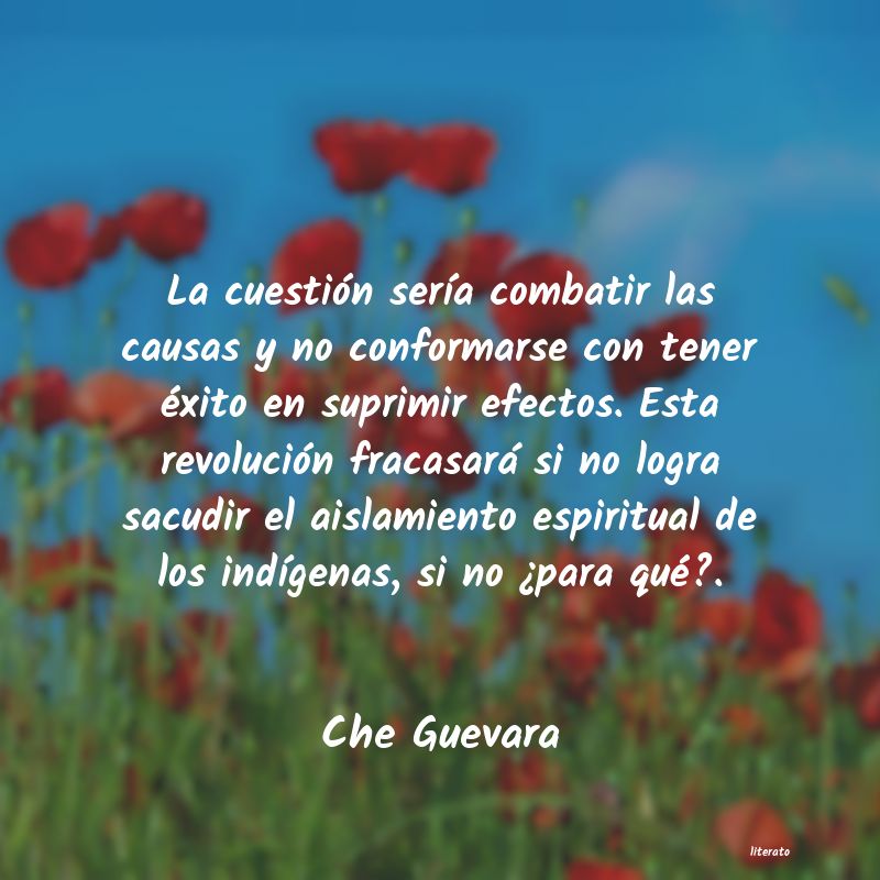 Frases de Che Guevara