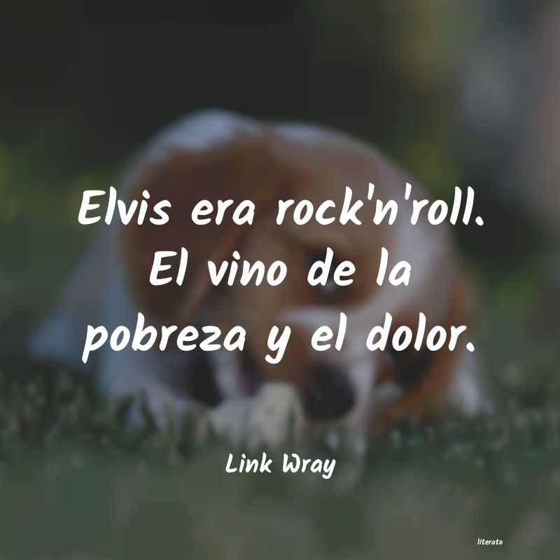 Frases de Link Wray