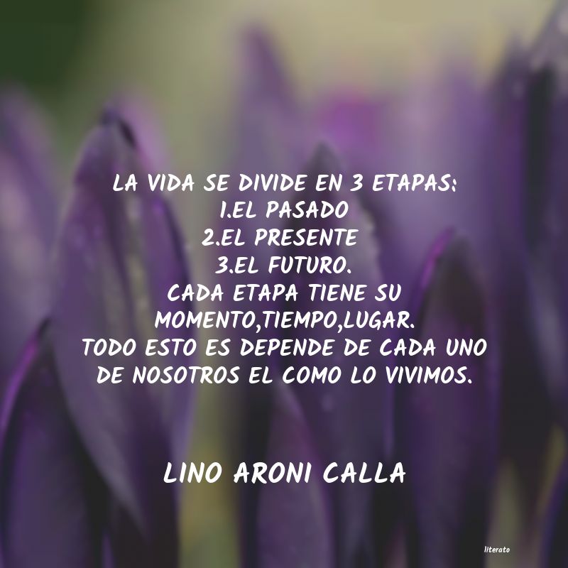 Frases de LINO ARONI CALLA
