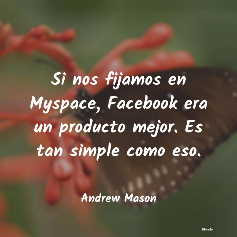 Frases de Andrew Mason