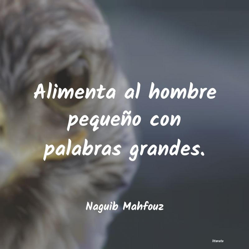 Frases de Naguib Mahfouz