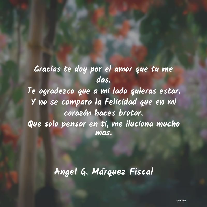 Frases de Angel G. Márquez Fiscal