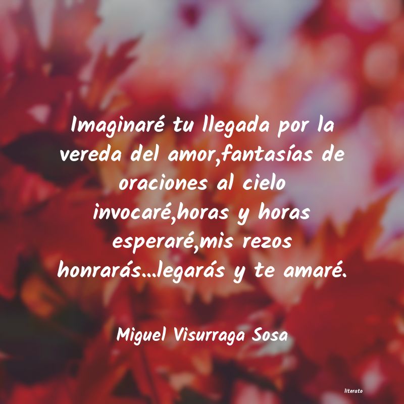 Frases de Miguel Visurraga Sosa