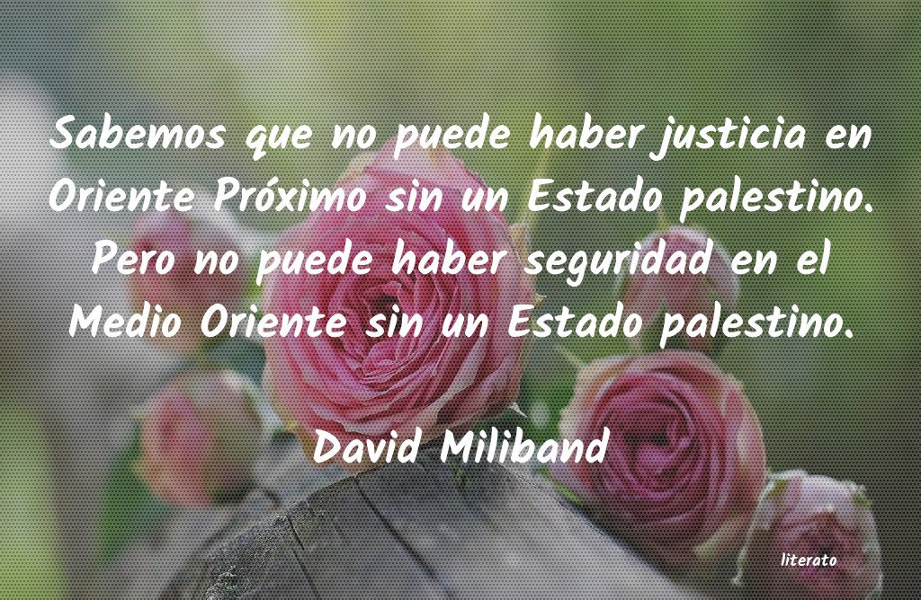 Frases de David Miliband