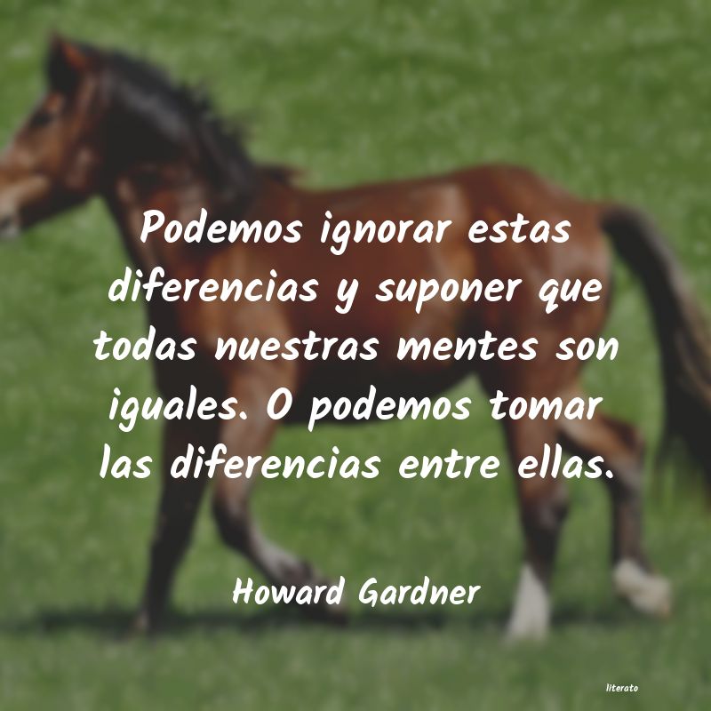 Frases de Howard Gardner