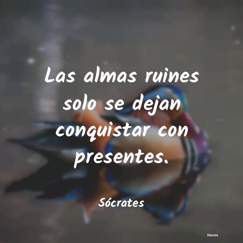 frases de Sócrates