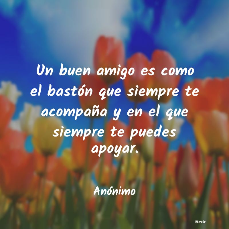 frases