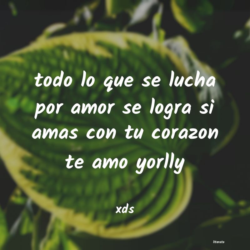 frases de xds
