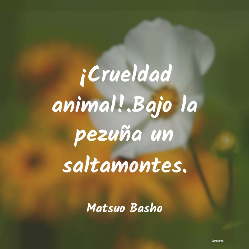 Frases de Matsuo Basho