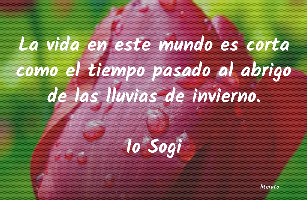 frases de Io Sogi